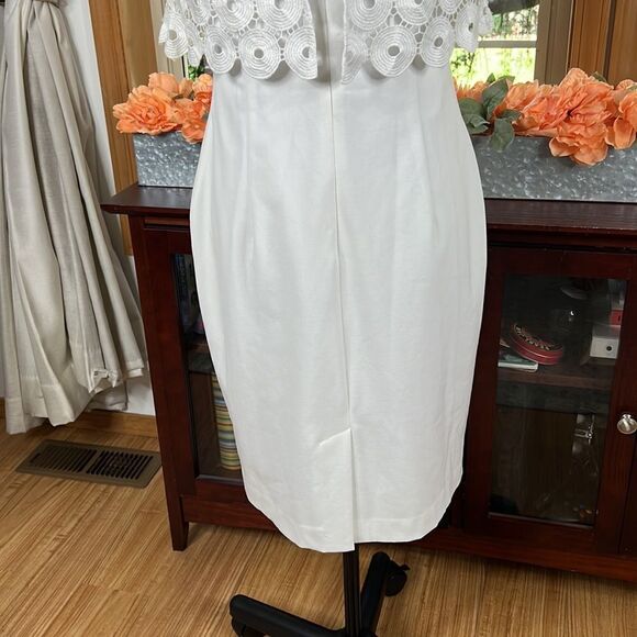 Calvin Klein Sleeveless Circle Lace Popover Sheath - Picture 7 of 13